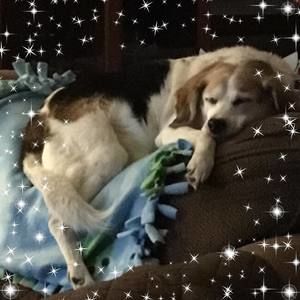 Meet your Posher, Judith